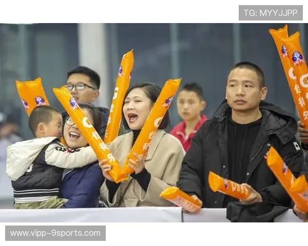 篮球赛事观众互动体验持续创新,篮球比赛观众心得体会