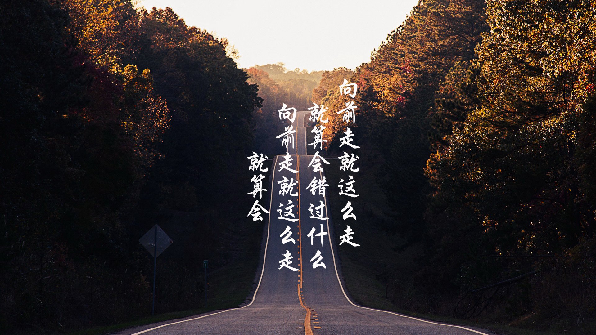 “舞动未来！运动舞蹈赛在金牛区城北体育馆上演完美联动”