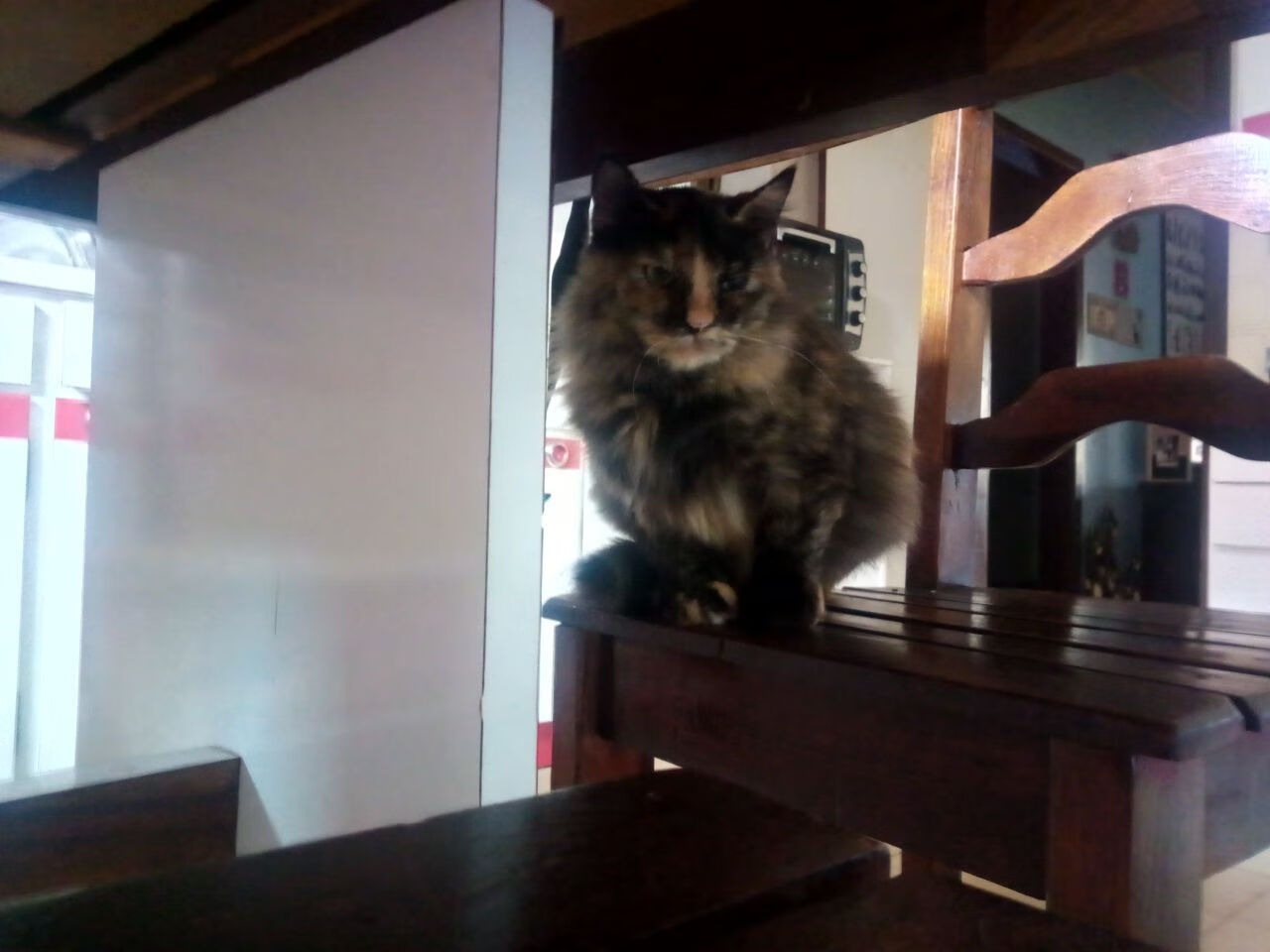 万人观赛，湖畔变身全民水上嘉年华，大班语言甜甜的果汁教案反思