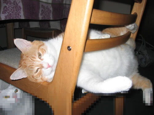 九游娱乐在线-中国男篮保持高强度训练 提升体能水平，中国男篮身体素质太弱