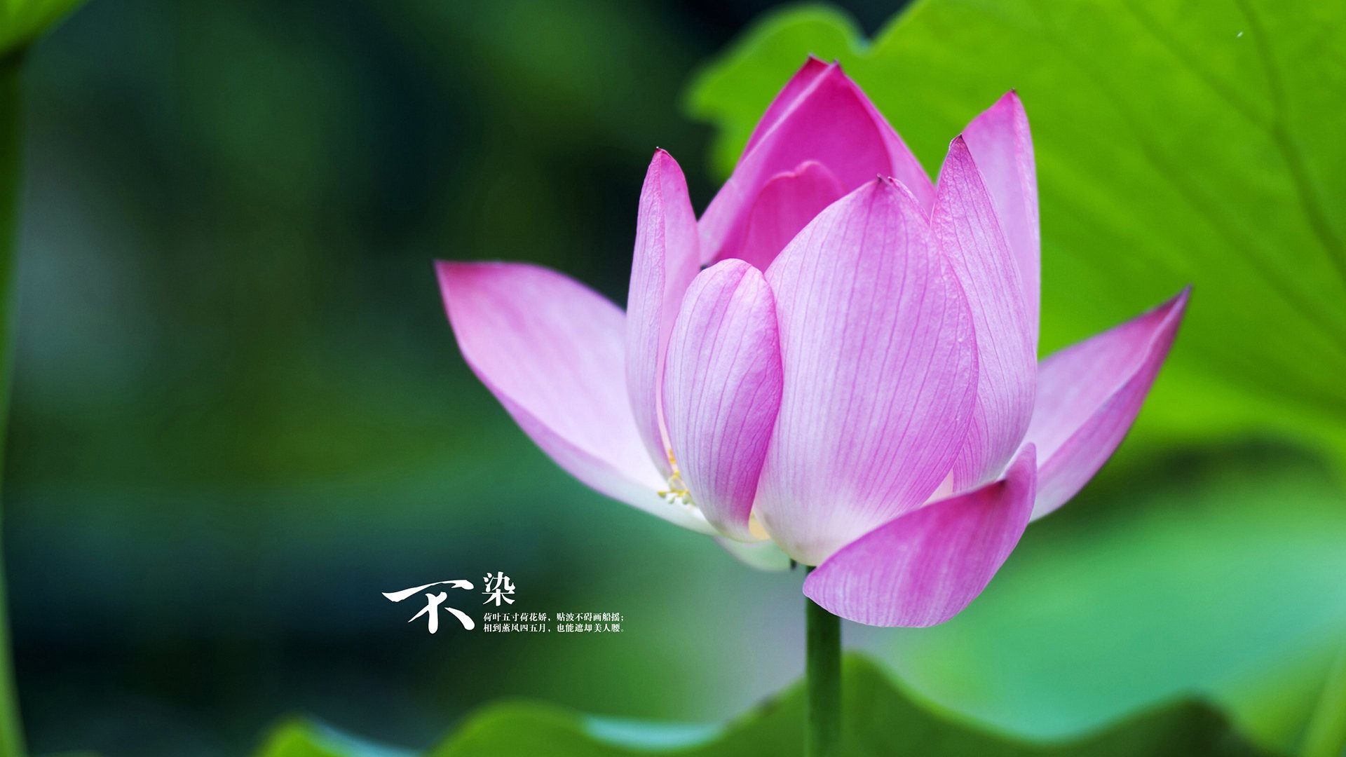 中国男篮精准控场打造稳定比赛节奏，中国男篮现役控卫排名