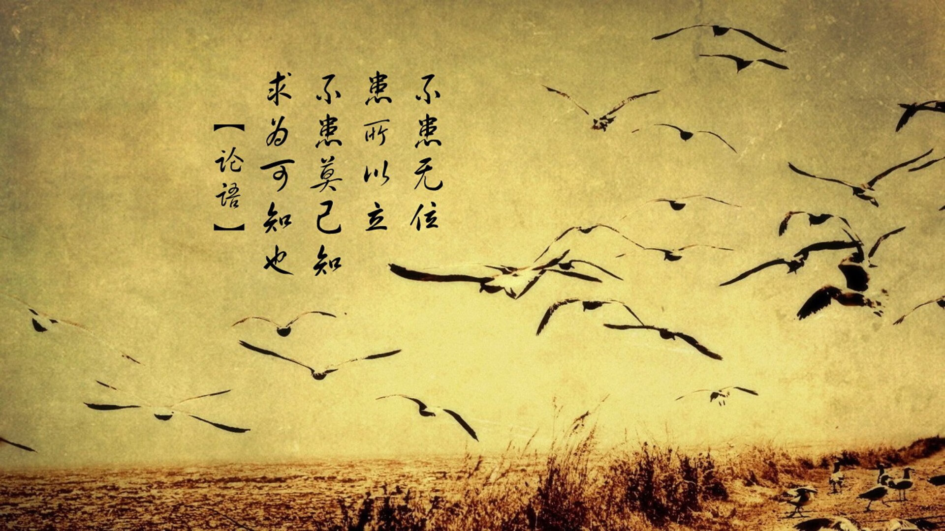 佛罗伦萨保持高节奏赢下关键比赛，佛罗伦萨厉害吗