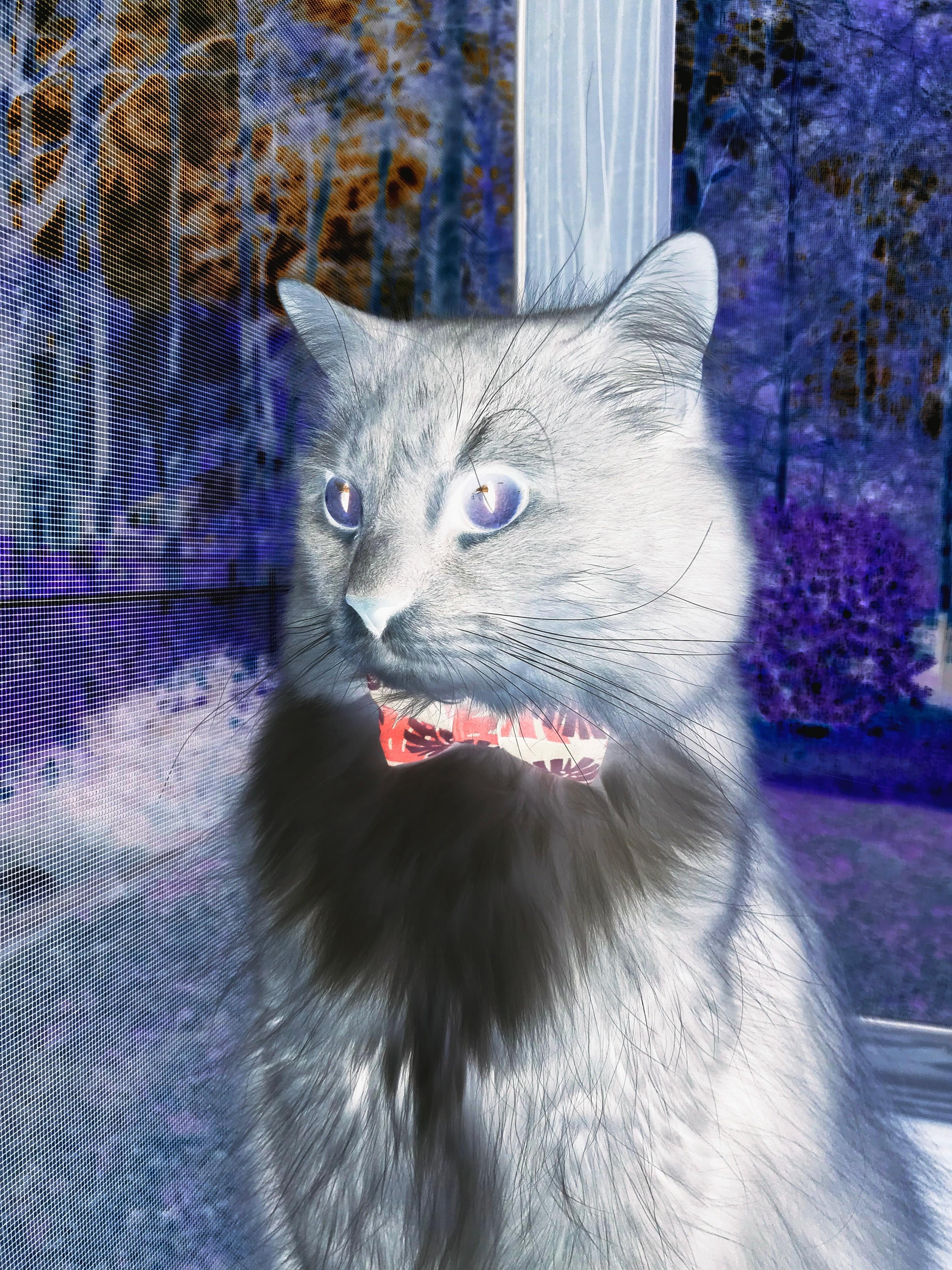 九游体育-国际热身赛中国女足战胜 对手表现被赞赏，女足热身赛 男足