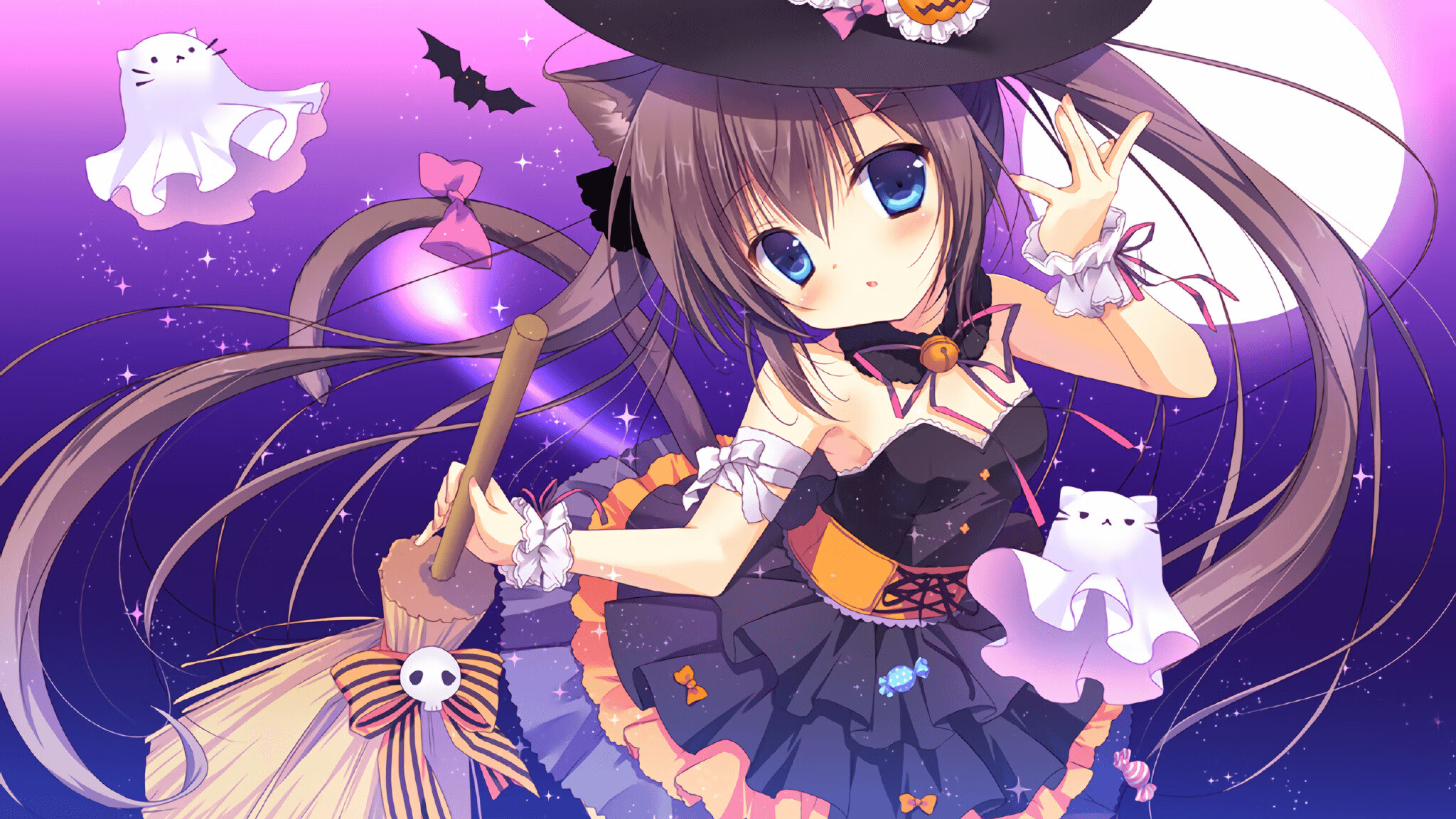 女子蝶泳冠军配速波形图解读，女子蝶泳100