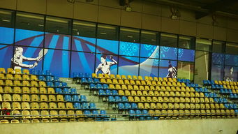 九游娱乐网站-新加坡队未来计划：建立更完善的青少年乒乓培养体系，新加坡乒乓球运动