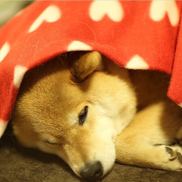 田径训练课程融入艺术韵律提升表现力,田径体育训练