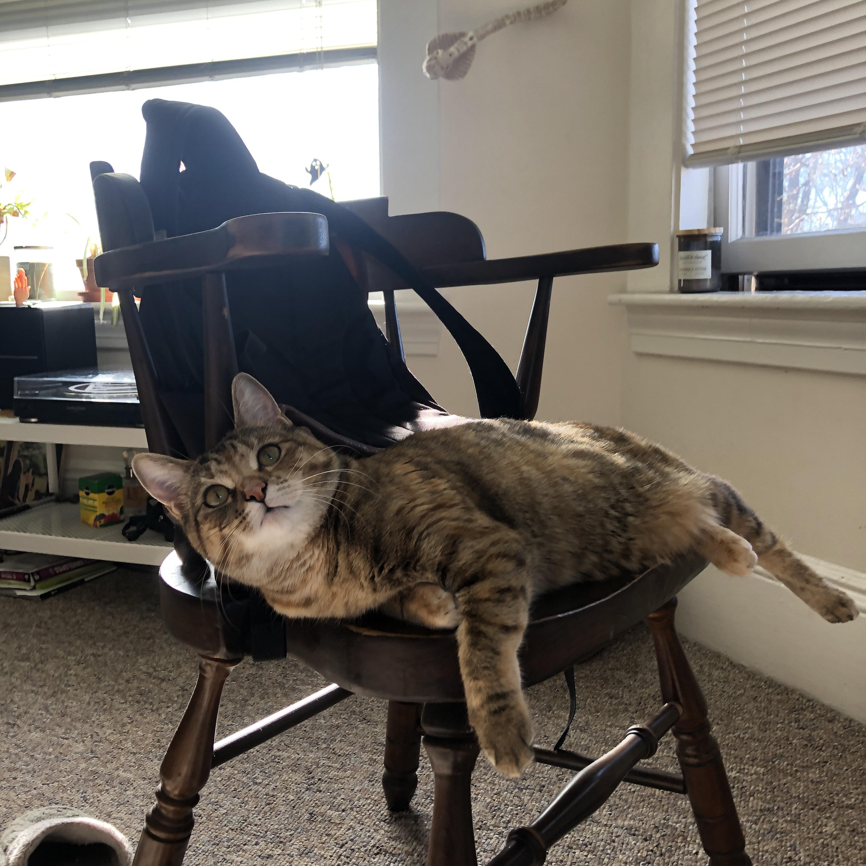 九游娱乐平台-职业球员体能与技术训练脱节，职业球员训练项目