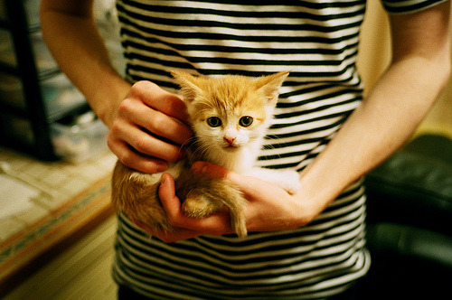 赫塔菲控球稳定组织起有效反击，赫塔菲七连败