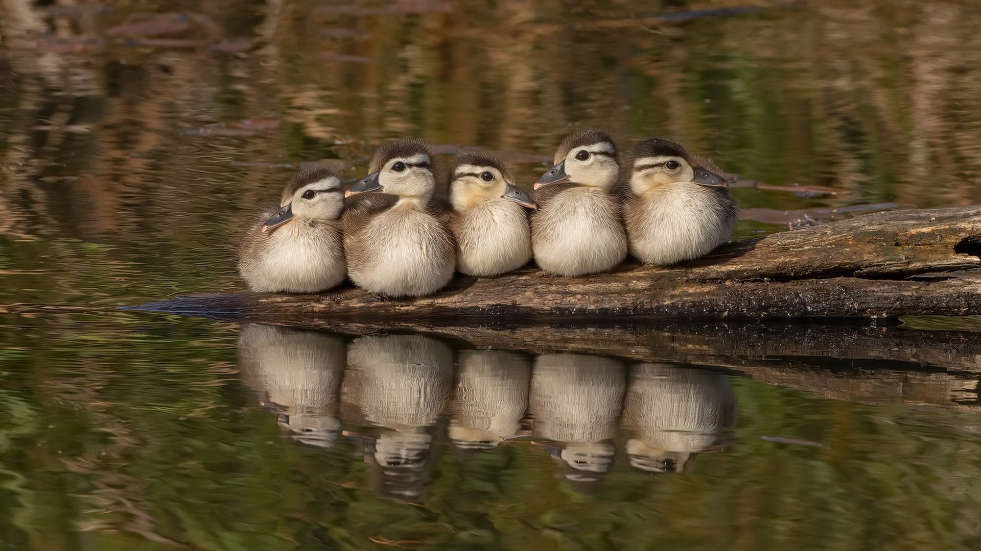 里昂锋线穿插牵制防线形成进攻空间，里昂路线