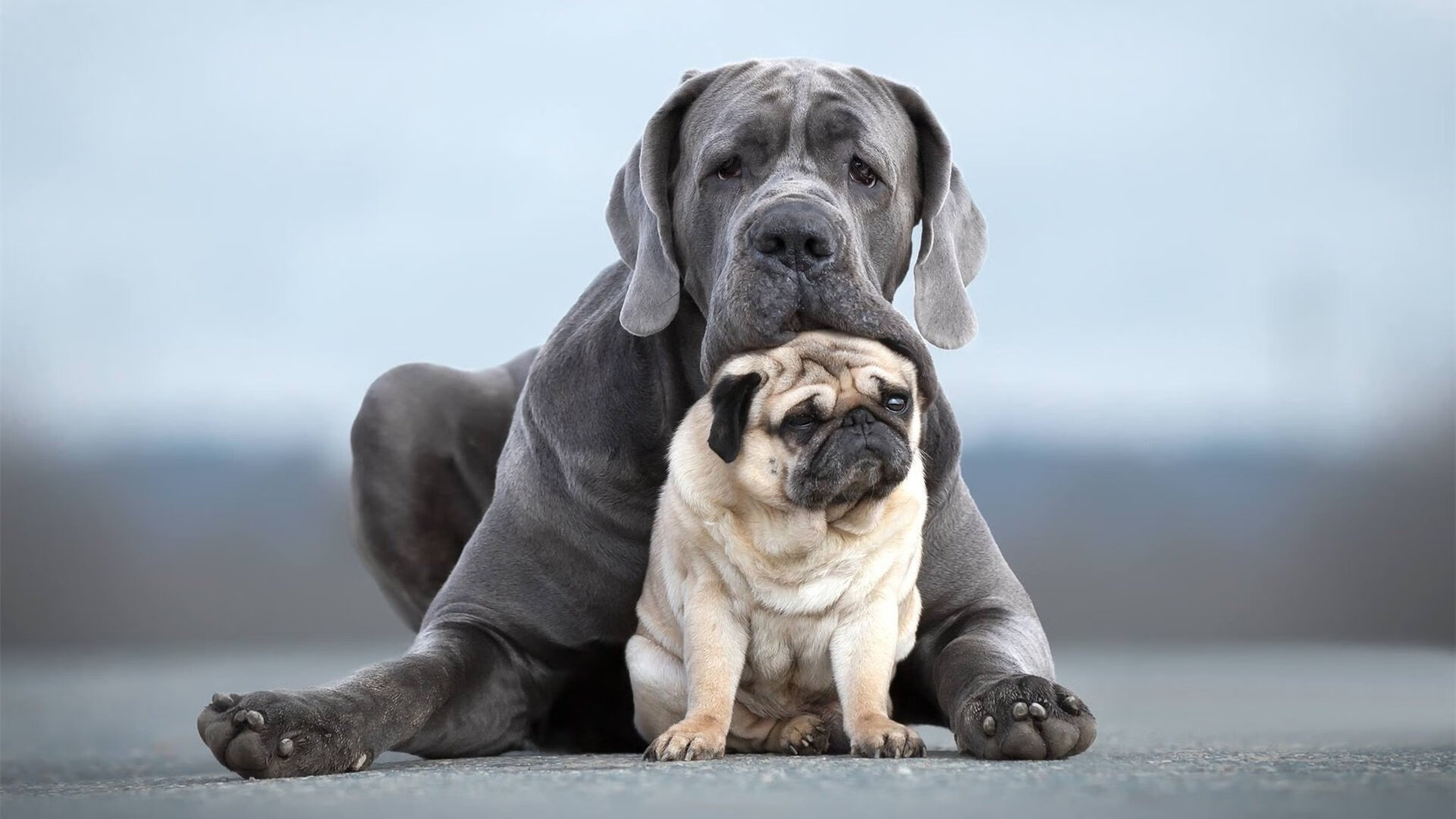 九游网页版入口-青训球员选拔常态化机制尚未建立，青训球员定义