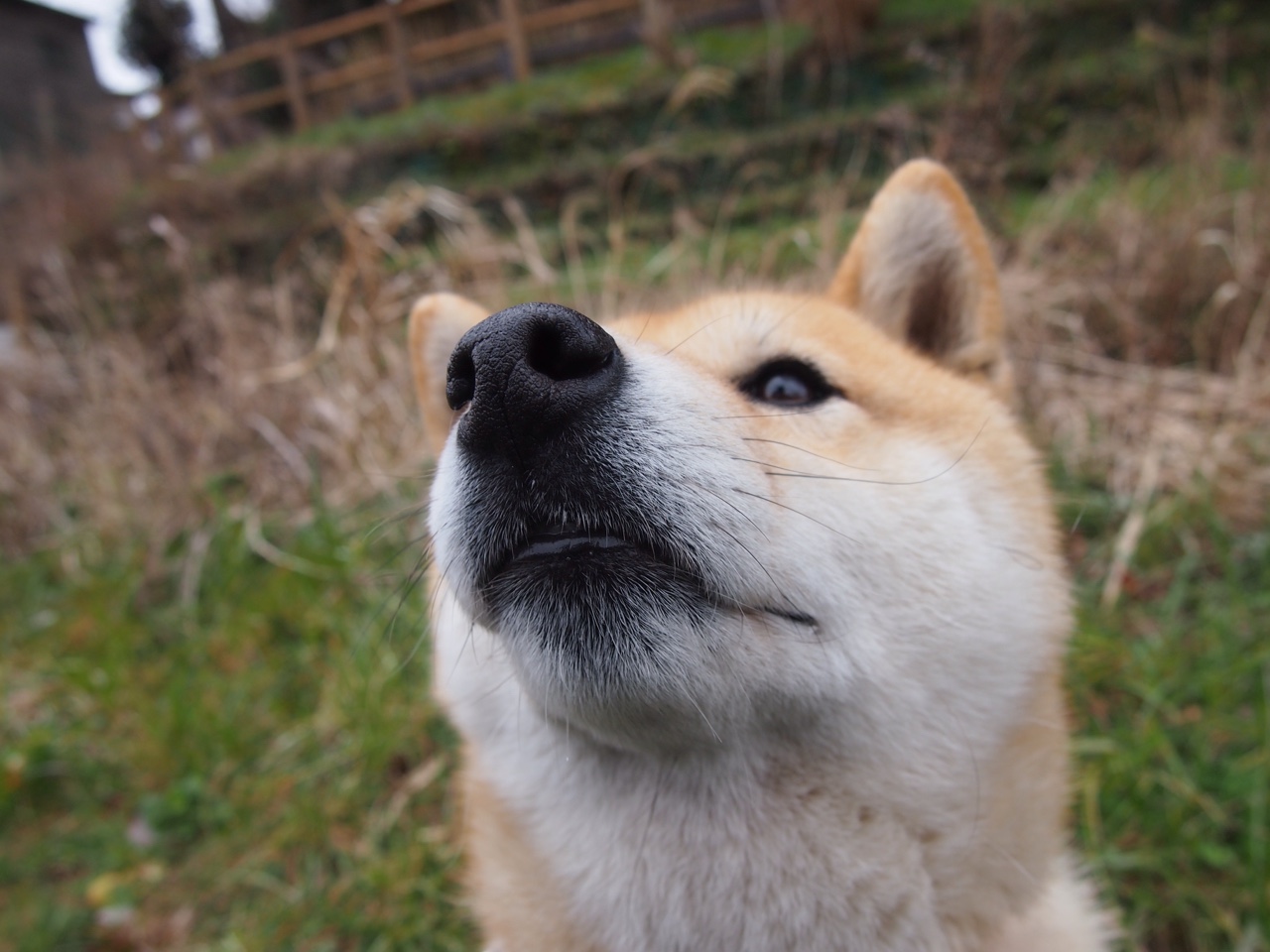 中国足球青少年足球发展基金启动，中国足球青少年计划